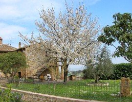 Esterna - Albero