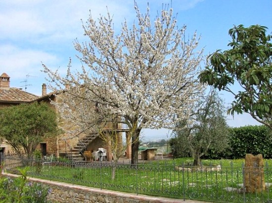 Esterna - Albero