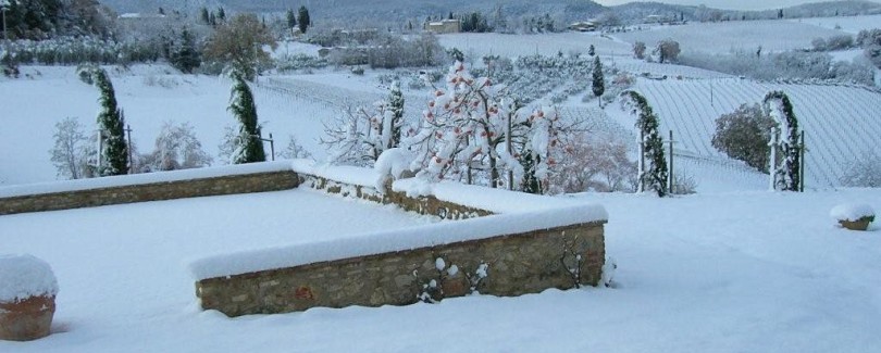 Neve 3_web